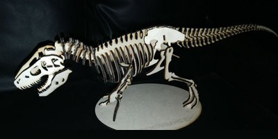 The Endurance 20 Watt (20000 mw) 445 nm double-beam diode laser add-on (attachment) for a 3D printer, a CNC and an engraving machine